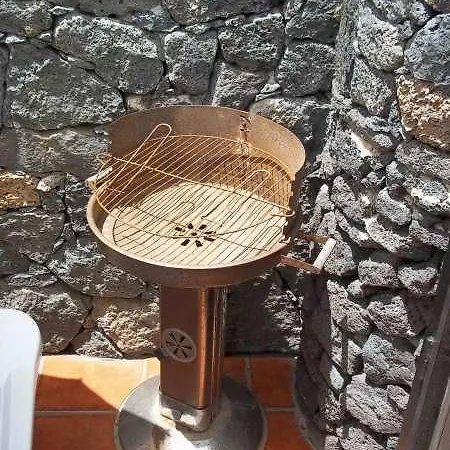 Zibyla *