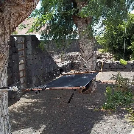 Zibyla * Tahiche